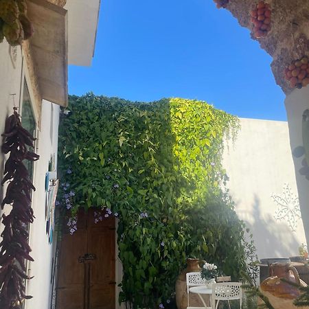 Corte Largo Lauro Dimore & Spa Gemini  Exteriér fotografie